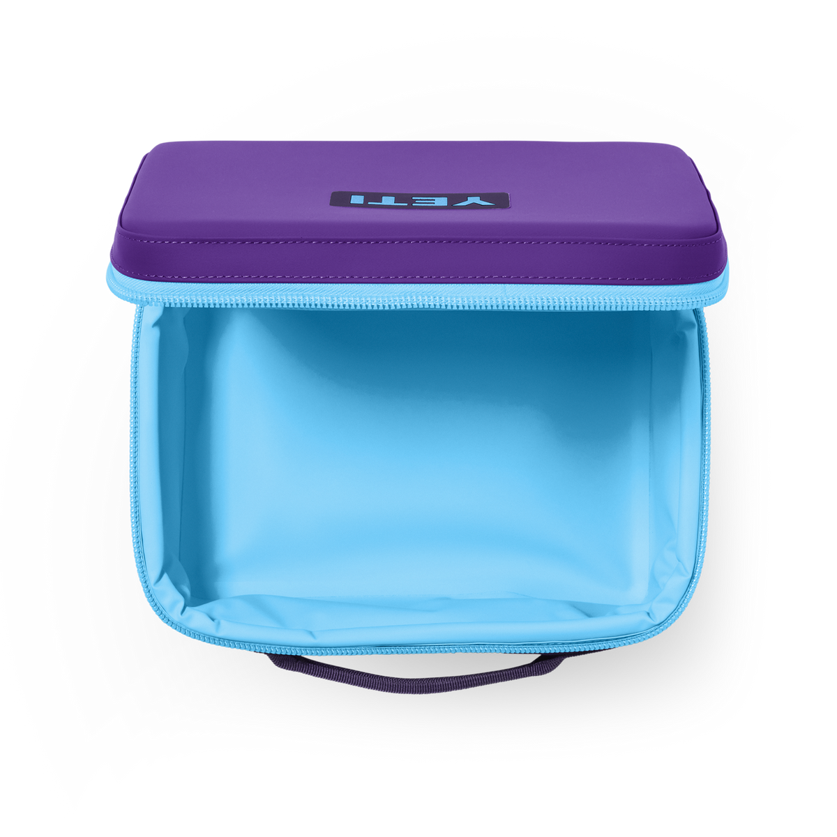 Pace Purple/Blue
