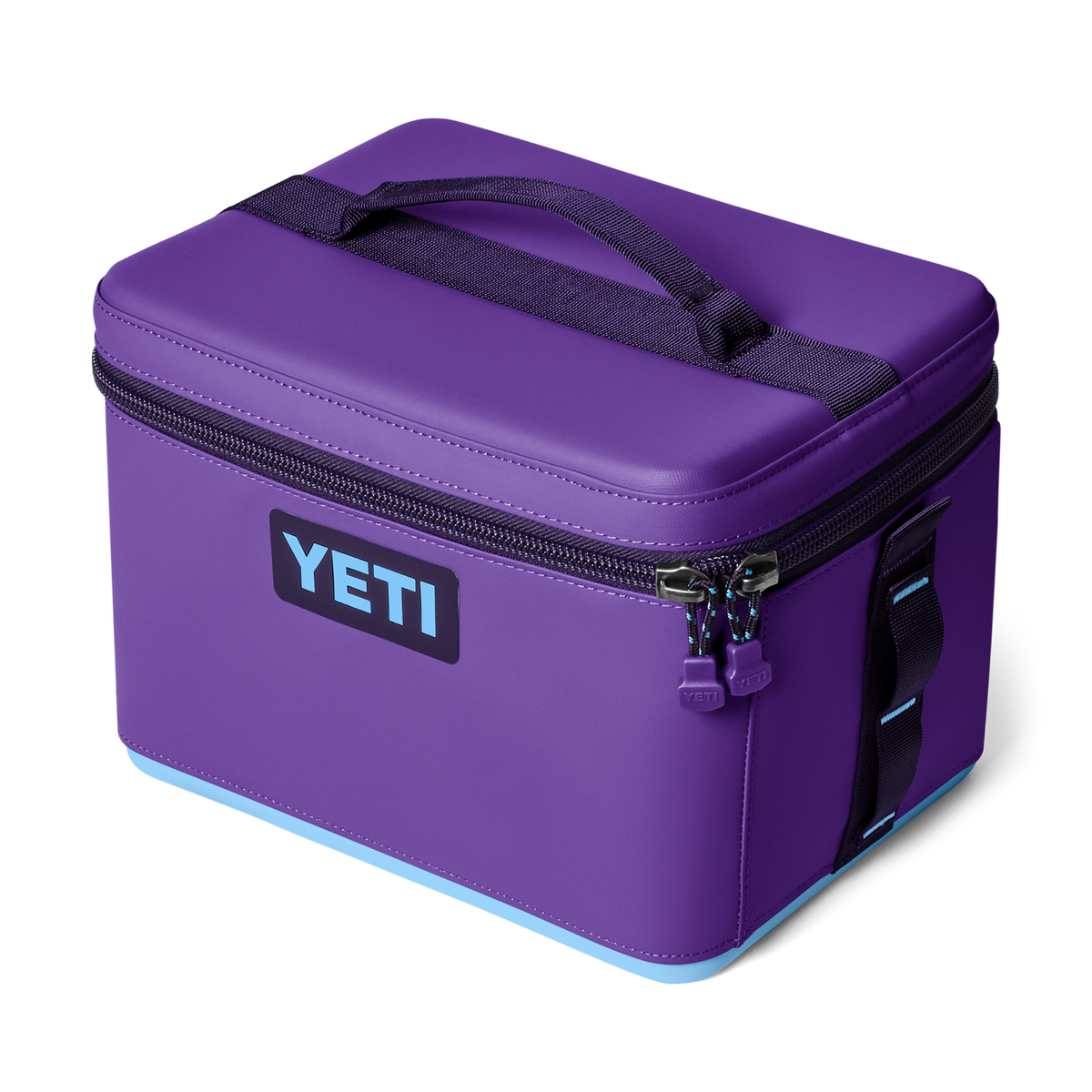Pace Purple/Blue