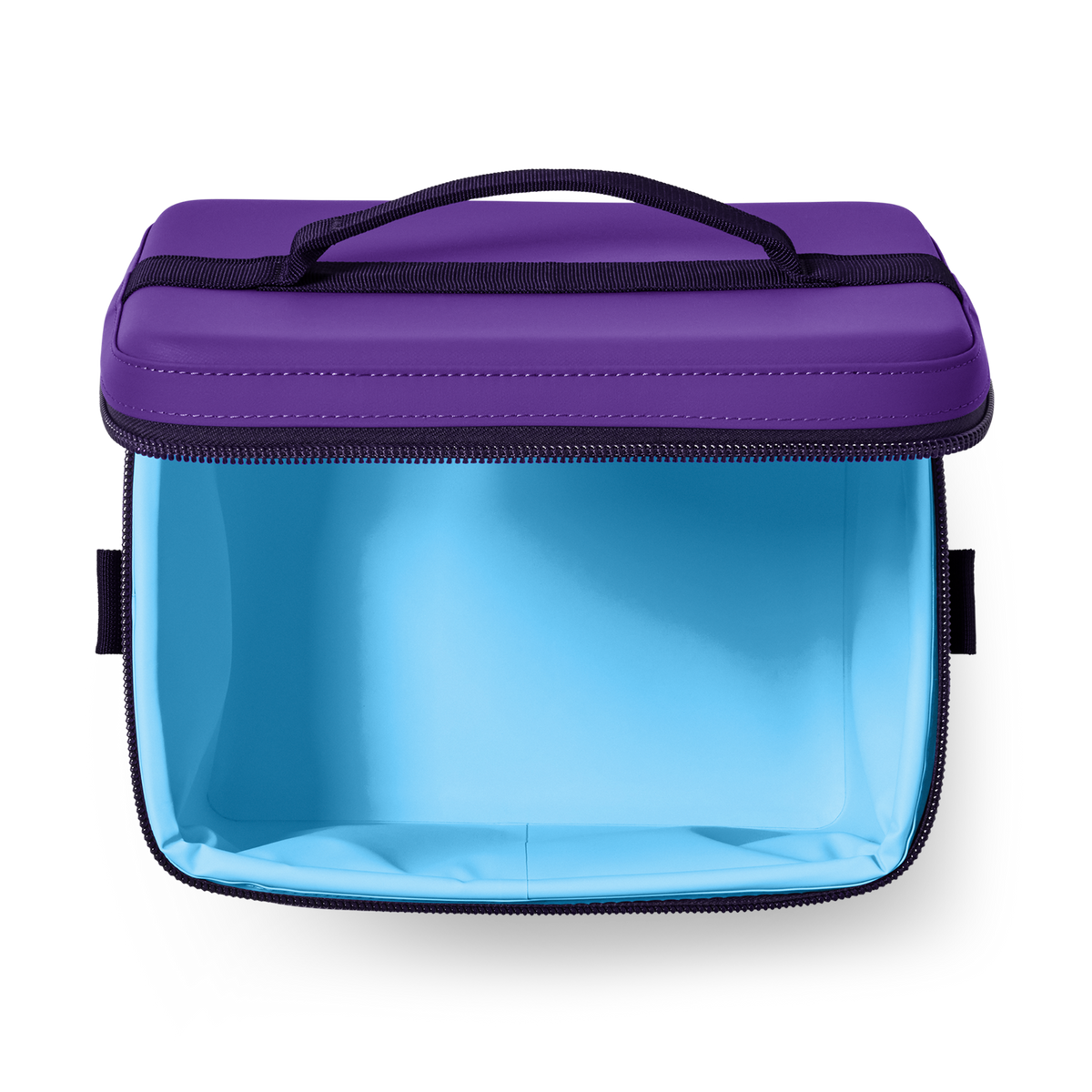 Pace Purple/Blue