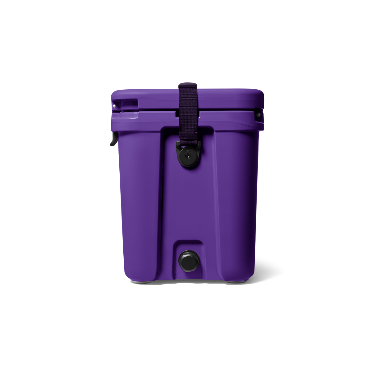 Pace Purple/Blue